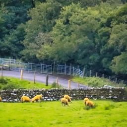 schottland rundreise 2023_waltl6